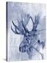 Indigo Moose-Jennifer Goldberger-Stretched Canvas