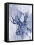 Indigo Moose-Jennifer Goldberger-Framed Stretched Canvas