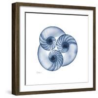 Indigo Nautilus Trio-Albert Koetsier-Framed Art Print