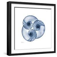 Indigo Nautilus Trio-Albert Koetsier-Framed Art Print