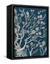 Indigo Night Chinoiserie II-Naomi McCavitt-Framed Stretched Canvas