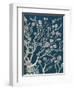 Indigo Night Chinoiserie II-Naomi McCavitt-Framed Art Print