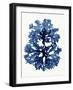 Indigo Ocean I-Stellar Design Studio-Framed Art Print