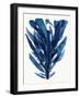 Indigo Ocean II-Stellar Design Studio-Framed Art Print