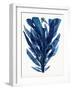 Indigo Ocean II-Stellar Design Studio-Framed Art Print