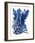 Indigo Ocean III-Stellar Design Studio-Framed Art Print