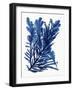 Indigo Ocean III-Stellar Design Studio-Framed Art Print