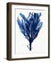 Indigo Ocean IV-Stellar Design Studio-Framed Art Print