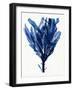 Indigo Ocean IV-Stellar Design Studio-Framed Art Print