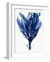 Indigo Ocean IV-Stellar Design Studio-Framed Art Print