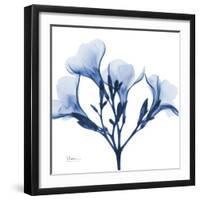 Indigo Oleander-Albert Koetsier-Framed Art Print