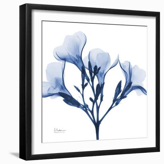 Indigo Oleander-Albert Koetsier-Framed Art Print