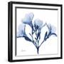 Indigo Oleander-Albert Koetsier-Framed Art Print