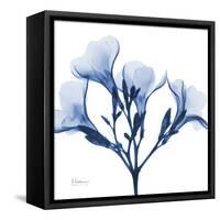Indigo Oleander-Albert Koetsier-Framed Stretched Canvas