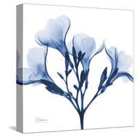 Indigo Oleander-Albert Koetsier-Stretched Canvas