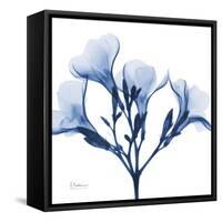 Indigo Oleander-Albert Koetsier-Framed Stretched Canvas