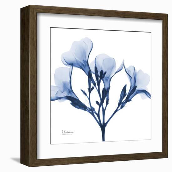 Indigo Oleander-Albert Koetsier-Framed Art Print