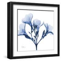 Indigo Oleander-Albert Koetsier-Framed Art Print