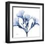 Indigo Oleander-Albert Koetsier-Framed Art Print