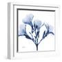 Indigo Oleander-Albert Koetsier-Framed Art Print