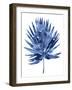 Indigo Palm IV-Melonie Miller-Framed Art Print