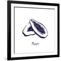 Indigo Papaya-Aimee Wilson-Framed Art Print