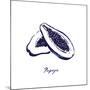 Indigo Papaya-Aimee Wilson-Mounted Art Print