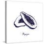 Indigo Papaya-Aimee Wilson-Stretched Canvas