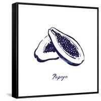 Indigo Papaya-Aimee Wilson-Framed Stretched Canvas