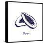 Indigo Papaya-Aimee Wilson-Framed Stretched Canvas