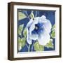 Indigo Petals VIII-Beth Grove-Framed Art Print