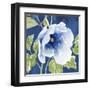 Indigo Petals VIII-Beth Grove-Framed Art Print