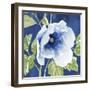 Indigo Petals VIII-Beth Grove-Framed Art Print