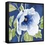 Indigo Petals VIII-Beth Grove-Framed Stretched Canvas