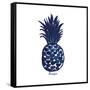 Indigo Pineapple-Aimee Wilson-Framed Stretched Canvas