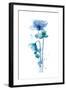 Indigo Poppy 1-Jin Jing-Framed Art Print