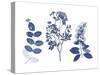 Indigo Pressed Florals I-Studio W-Stretched Canvas