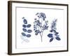 Indigo Pressed Florals I-Studio W-Framed Art Print