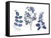 Indigo Pressed Florals I-Studio W-Framed Stretched Canvas