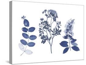 Indigo Pressed Florals I-Studio W-Stretched Canvas