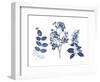 Indigo Pressed Florals I-Studio W-Framed Art Print