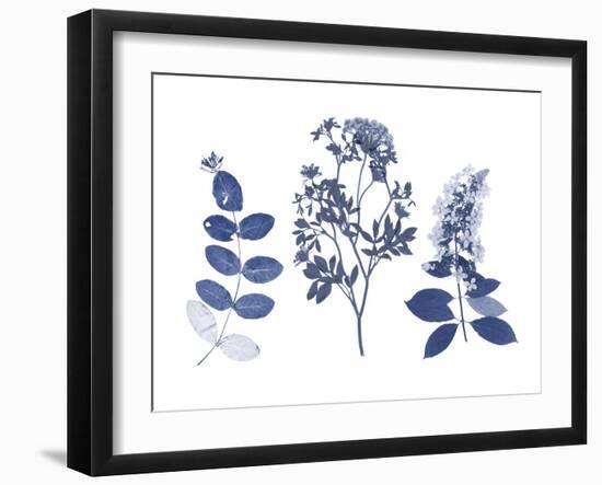 Indigo Pressed Florals I-Studio W-Framed Art Print