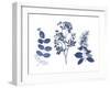 Indigo Pressed Florals I-Studio W-Framed Art Print