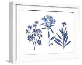 Indigo Pressed Florals II-Studio W-Framed Art Print