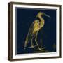 Indigo Pride-Sheldon Lewis-Framed Art Print