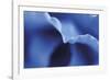 Indigo Reflection-Gaetan Caron-Framed Giclee Print