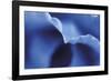 Indigo Reflection-Gaetan Caron-Framed Giclee Print