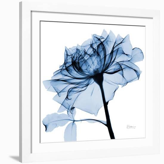 Indigo Rose 2-Albert Koetsier-Framed Art Print