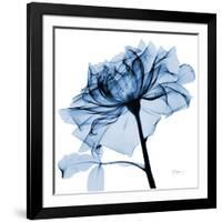 Indigo Rose 2-Albert Koetsier-Framed Art Print