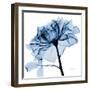 Indigo Rose 2-Albert Koetsier-Framed Art Print